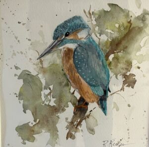 Kingfisher