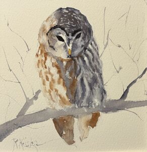 Owl