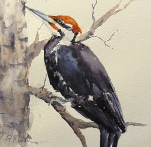 Woodpecker